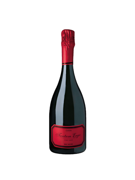 Tantum Ergo Pinot Noir Rosé 2023
